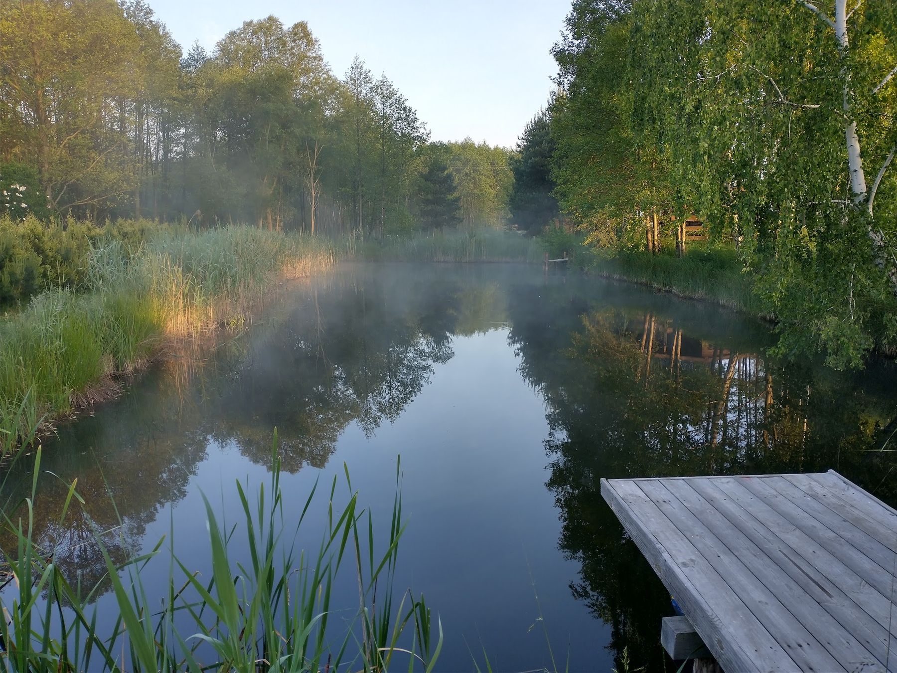 Poranna mgła nad stawem Bobrowiska i drewniany pomost